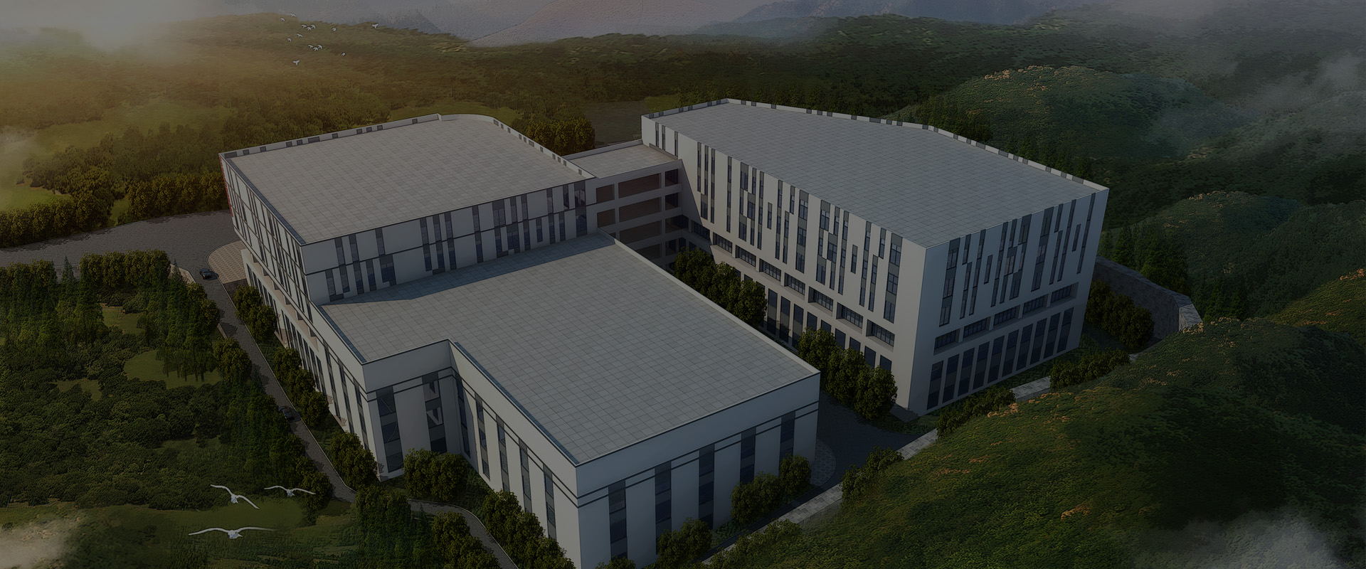 ���_(d��)���������ò��������I(l��ng)����